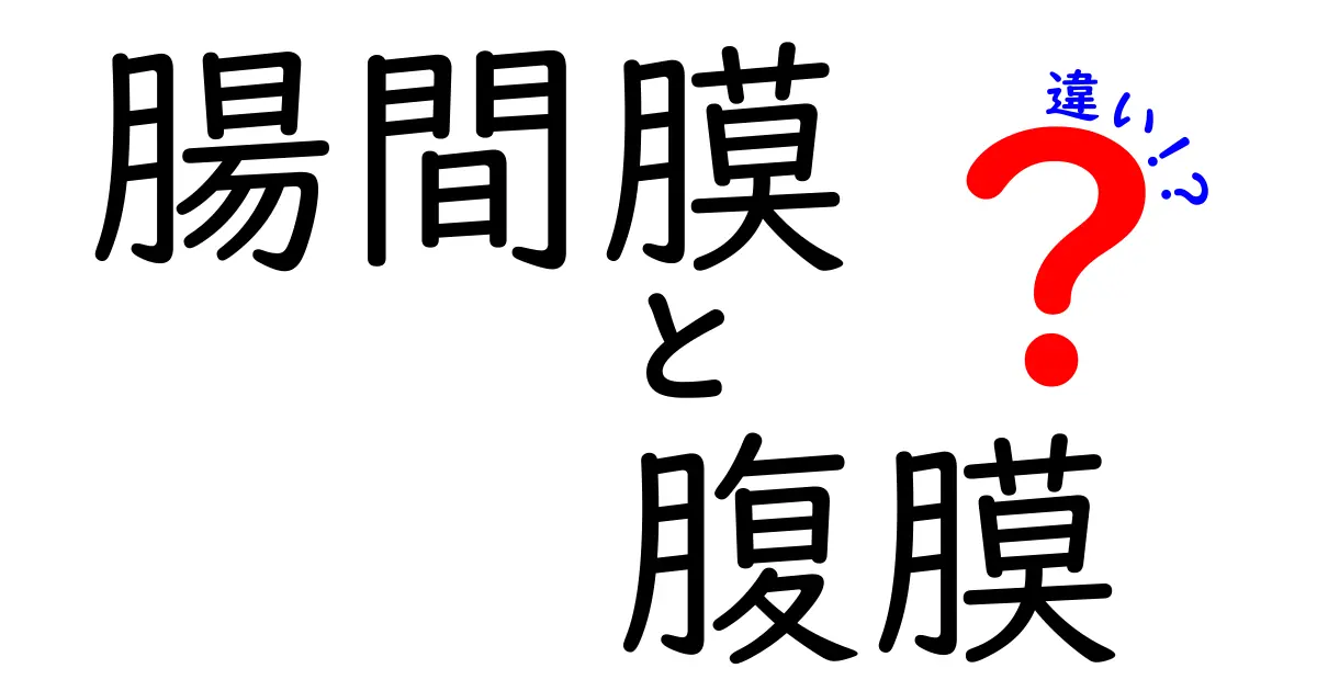 腸間膜と腹膜の違いが丸わかり！中学生でも理解できる図解つきガイド