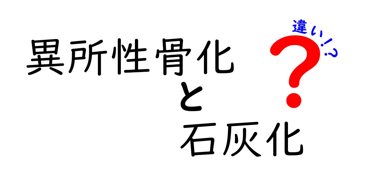 異所性骨化と石灰化の違いを中学生にもわかるように解説！見分け方と日常での注意点