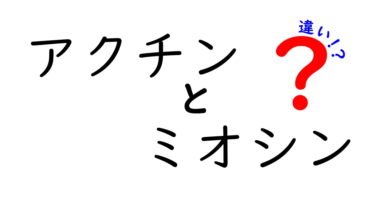 アクチンとミオシンの違いを完全解説｜筋肉の動きの秘密を中学生にもわかる図解付き