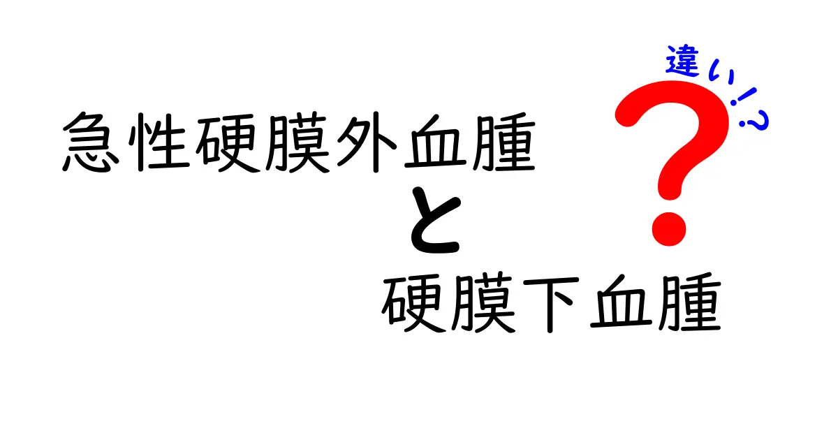 急性硬膜外血腫と硬膜下血腫の違いを徹底解説！見分け方と対処法を中学生にもわかる図解付き