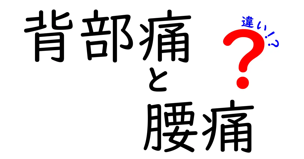 背部痛と腰痛の違いを徹底解説！痛む場所で原因と対処法を見極める基本ガイド