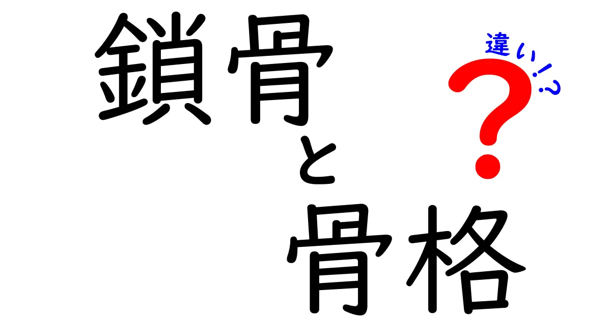 鎖骨と骨格の違いを理解するための徹底ガイド！中学生にもわかる解説で差を見抜こう