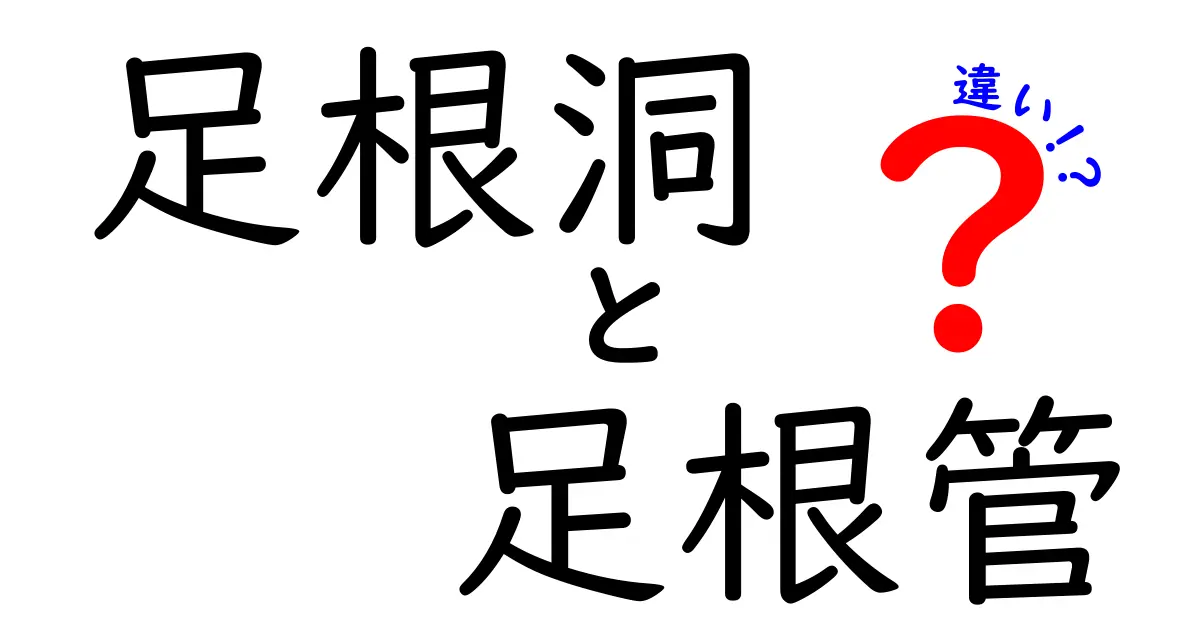 足根洞　足根管　違いを徹底解説: 痛みの原因と見分け方を解説するわかりやすい入門記事