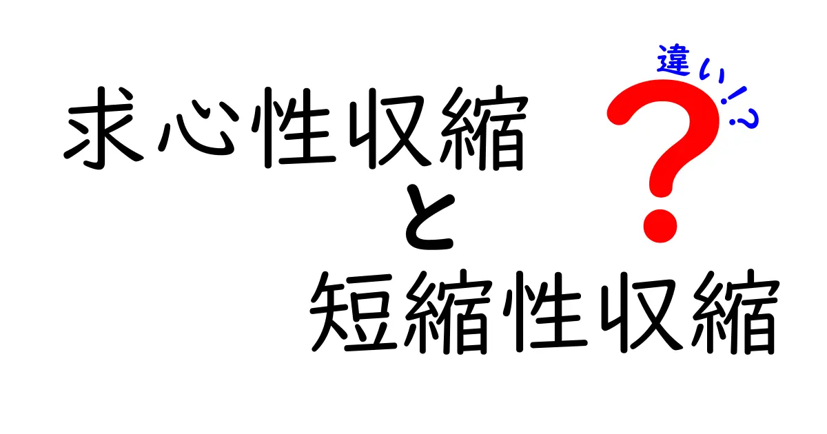 【図解付き】求心性収縮と短縮性収縮の違いを徹底解説！中学生にもわかる筋肉の仕組み