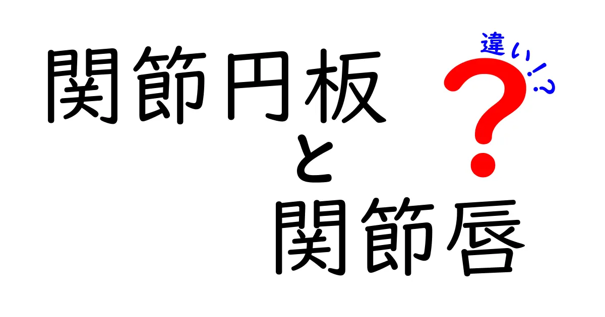 関節円板と関節唇の違いをわかると人生が変わる？中学生にも伝わるやさしい解説