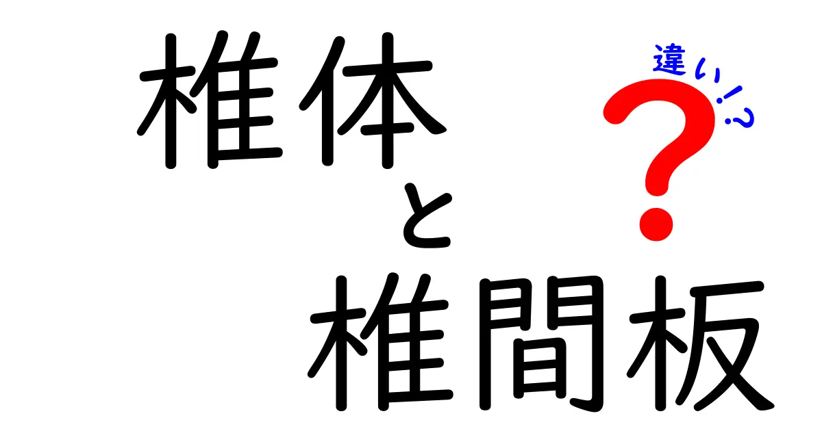 椎体と椎間板の違いを図解つきでわかりやすく解説 中学生にも伝わる背骨の基礎