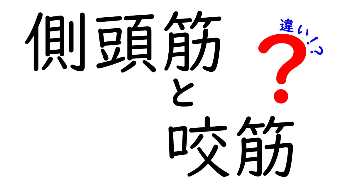 側頭筋と咬筋の違いを徹底解説！日常の噛み方からトレーニングまで