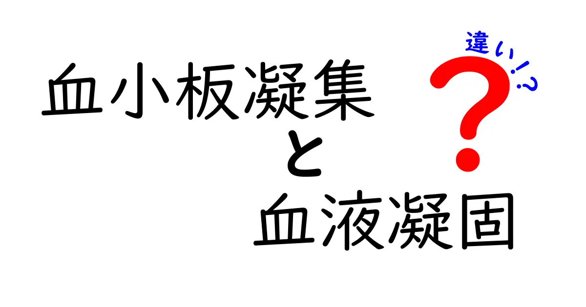 血小板凝集と血液凝固の違いを徹底解説！中学生にもわかる仕組みと日常のヒント