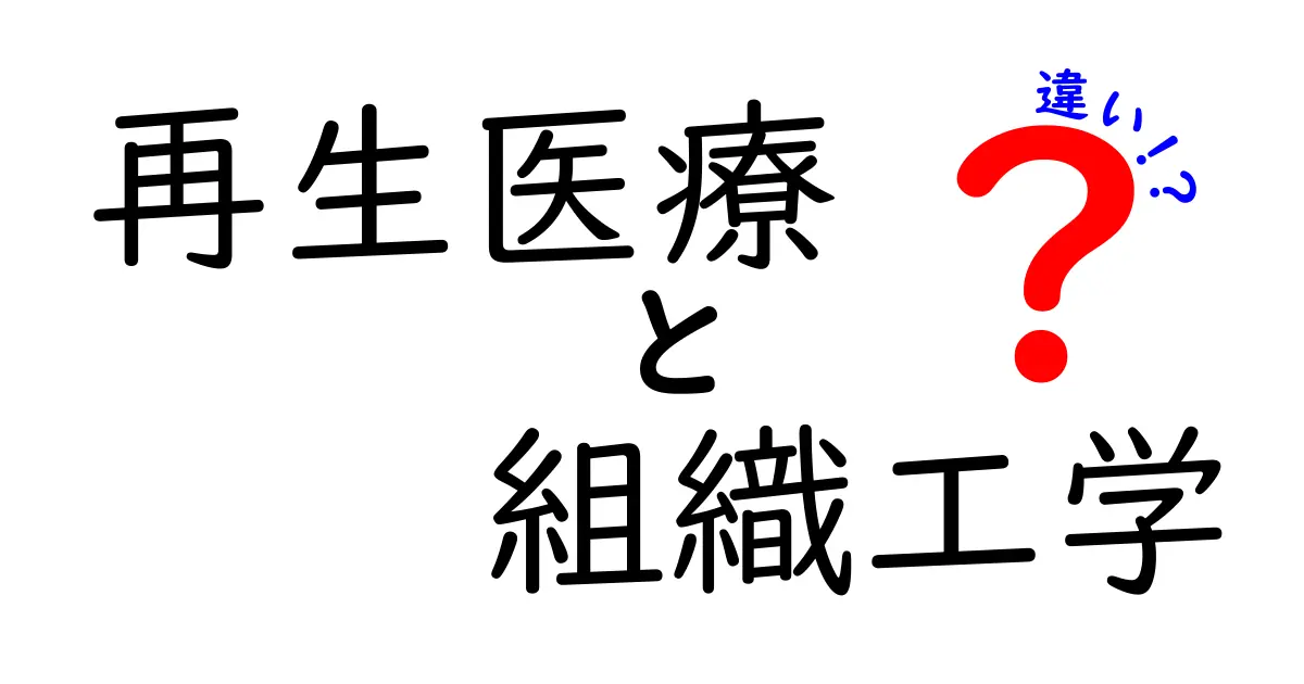 再生医療と組織工学の違いを徹底解説！中学生にもわかるやさしい比較ガイド