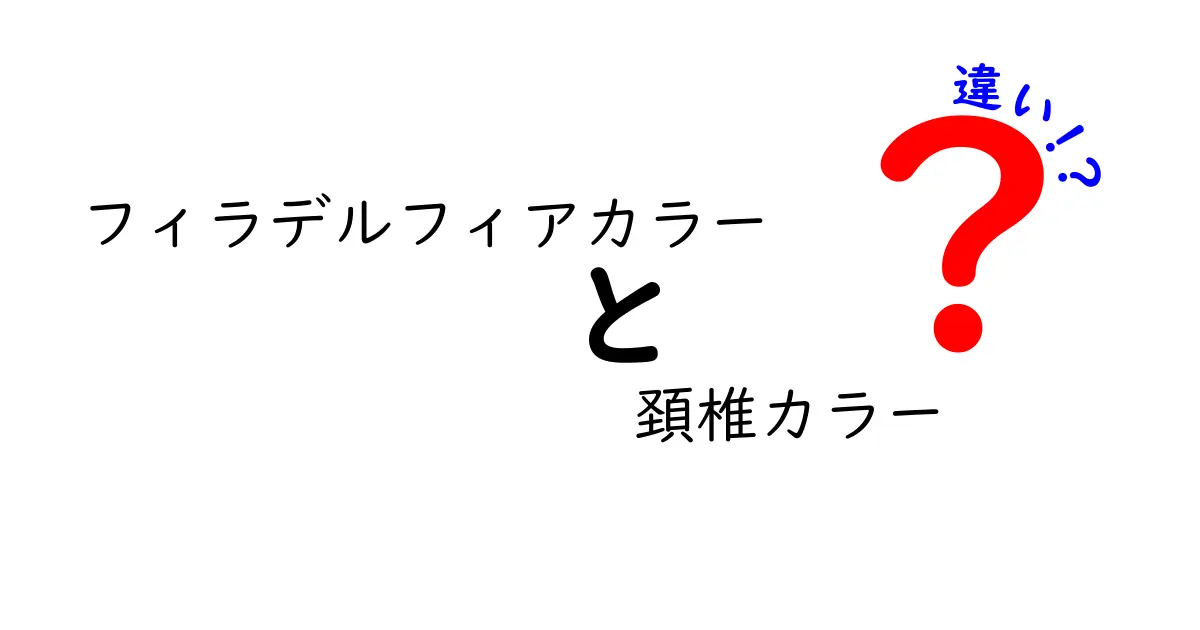 フィラデルフィアカラーと頚椎カラーの違いを徹底解説｜使い分けのコツと選び方