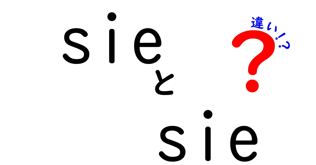 sieとsieの違いを徹底解説！ドイツ語の『sie』『Sie』はこう使い分ける