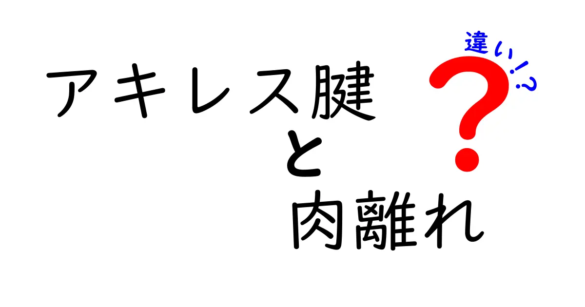 アキレス腱と肉離れの違いを徹底解説！中学生にも分かる見分け方とケアのポイント