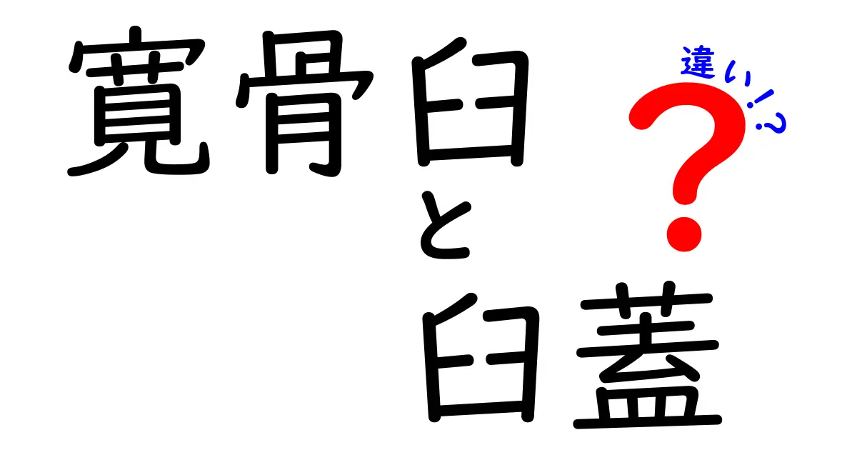 寛骨臼と臼蓋の違いとは？腰と肩の関節をやさしく比較解説