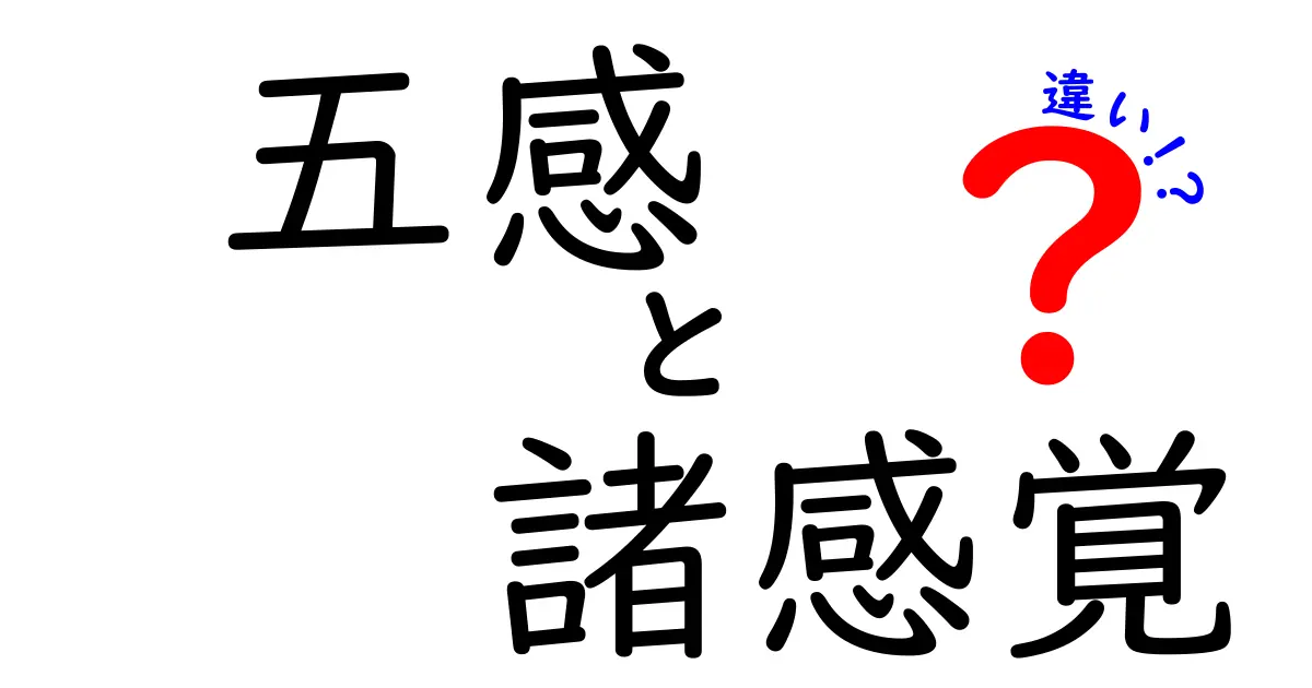 五感と諸感覚の違いを学ぶ: いまさら聞けない“感じ方”の差を徹底解説
