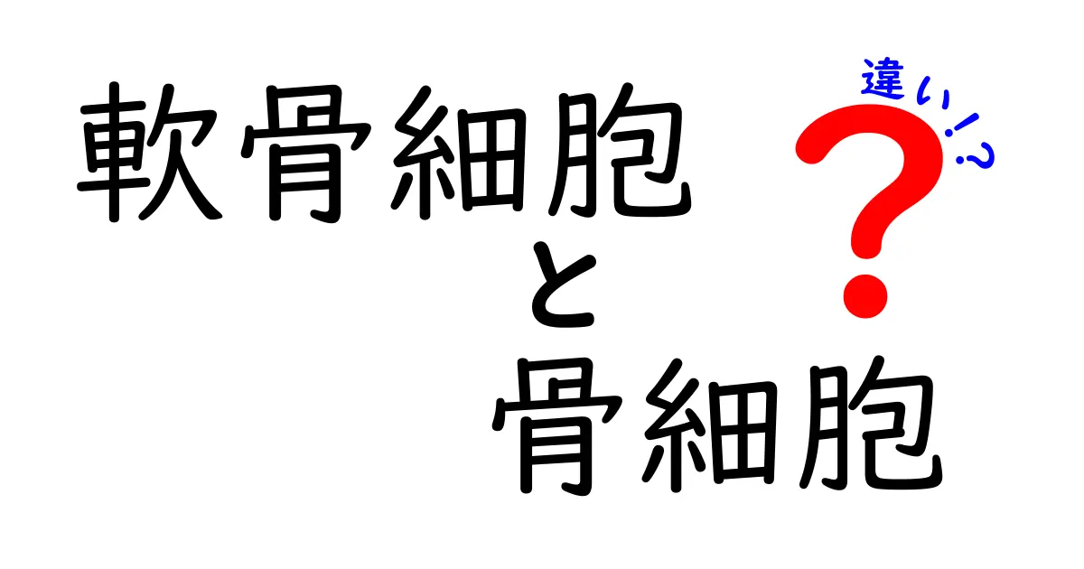 軟骨細胞と骨細胞の違いをわかりやすく解説！中学生にも伝わる成長と役割のポイント