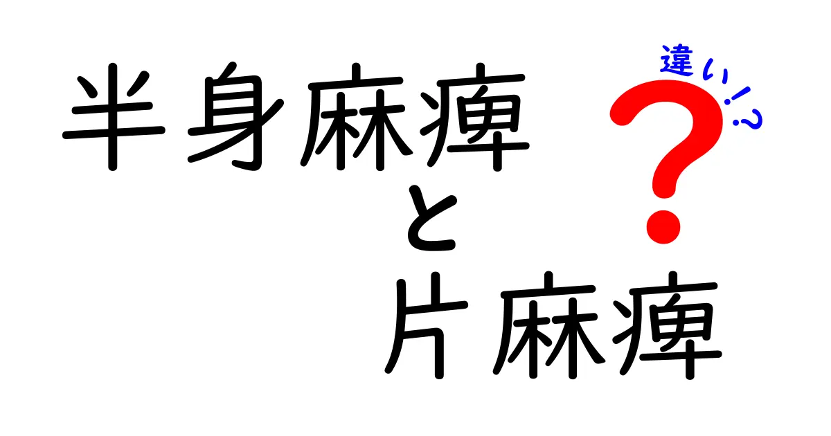 半身麻痺と片麻痺の違いを徹底解説！見分け方と日常生活への影響までわかりやすく解説