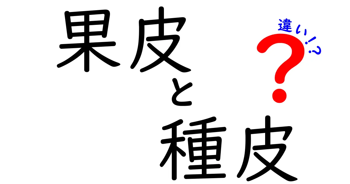 果皮と種皮の違いをわかりやすく解説！果実の中身を丸ごと理解するヒント
