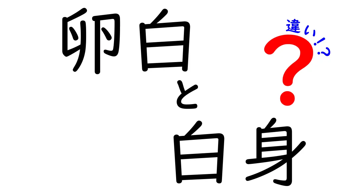 卵白と白身の違いを徹底解説！知っておくべきポイントと使い分け