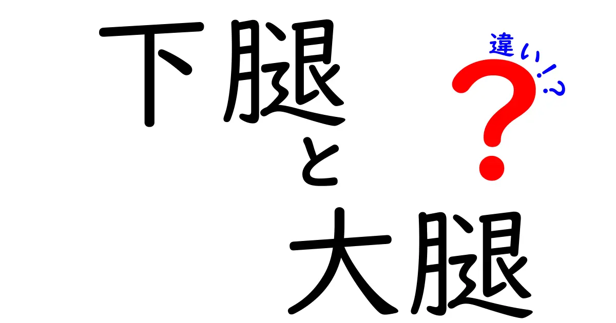 下腿と大腿の違いを徹底解説！部位の名称だけじゃない、役割とケガのポイントまで