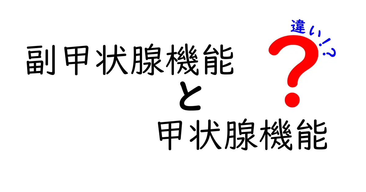 副甲状腺機能と甲状腺機能の違いをわかりやすく解説｜中学生でも読める基礎知識