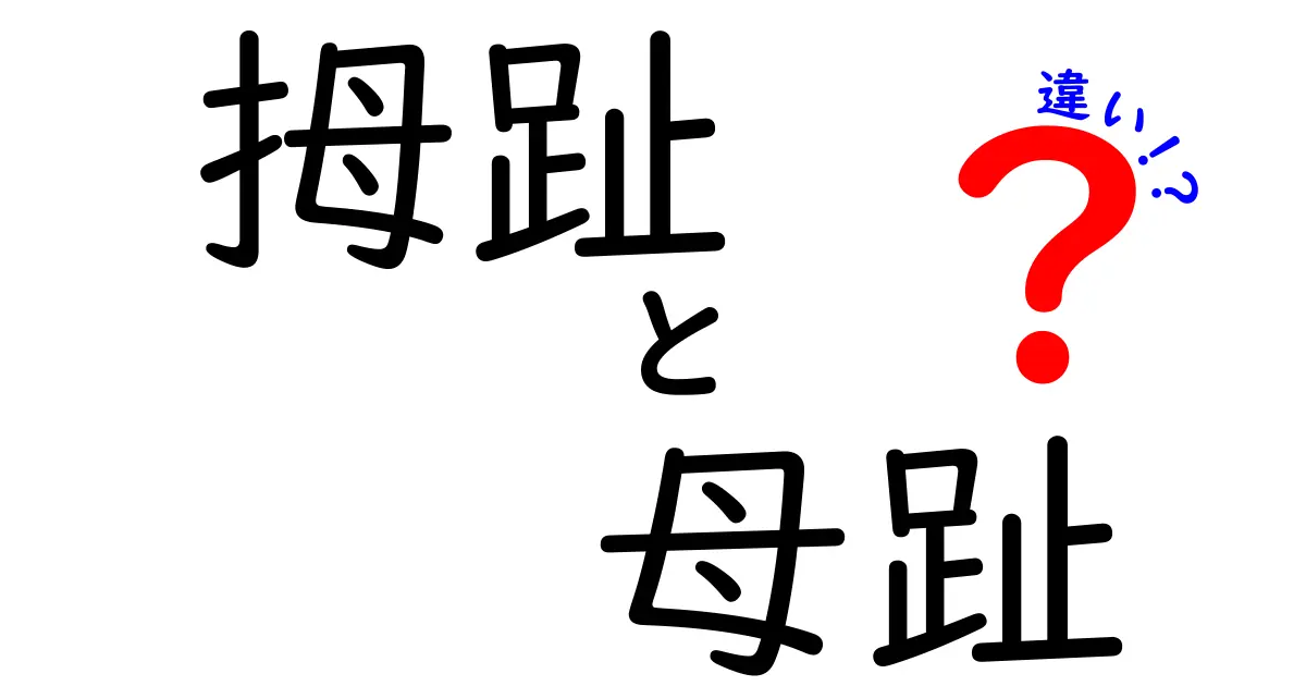 拇趾と母趾の違いを完全解説｜意味・漢字の使い分け・正しい表記の取り扱いを中学生にも分かる図解つき