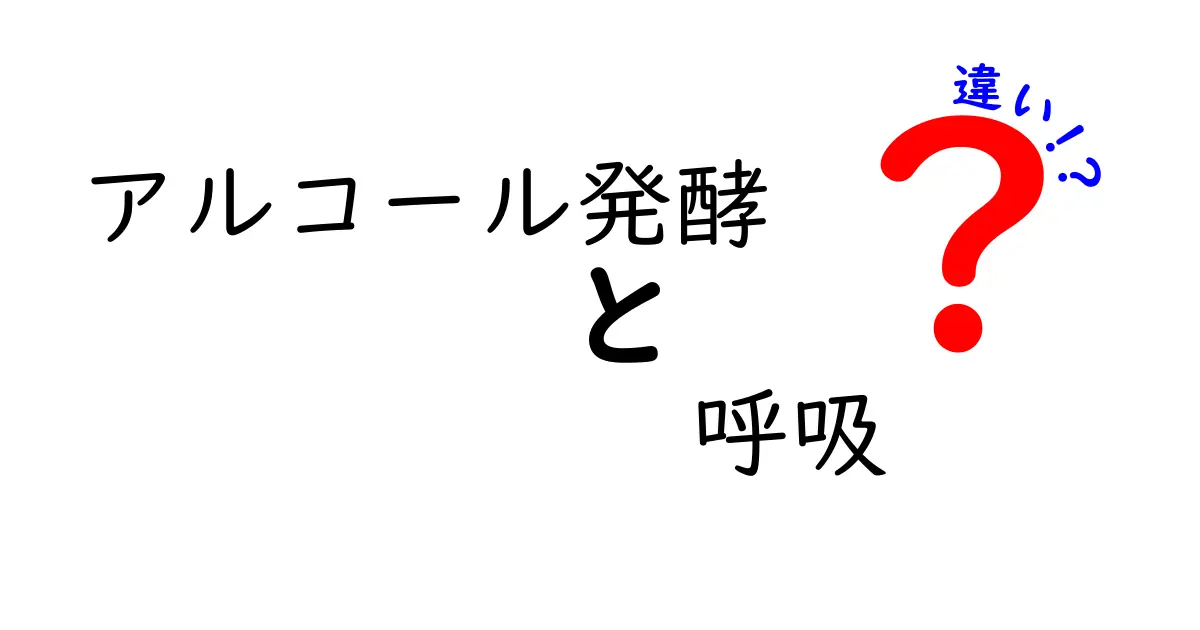 アルコール発酵と呼吸の違いを徹底解説！中学生にも分かる日常と科学のつながり