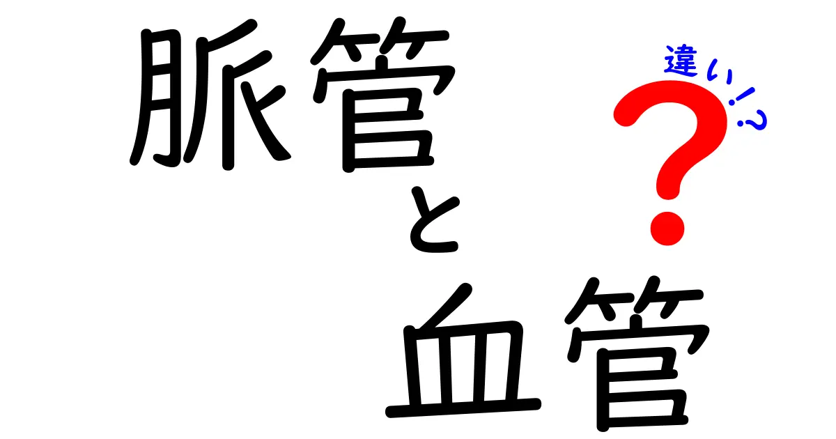 脈管と血管の違いを徹底解説！中学生にもわかる図解つきガイド