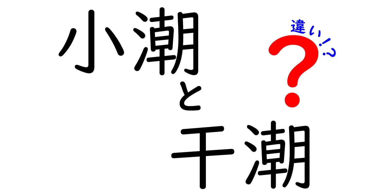 小潮と干潮の違いを徹底解説｜潮汐の仕組みと日常での活用ポイント