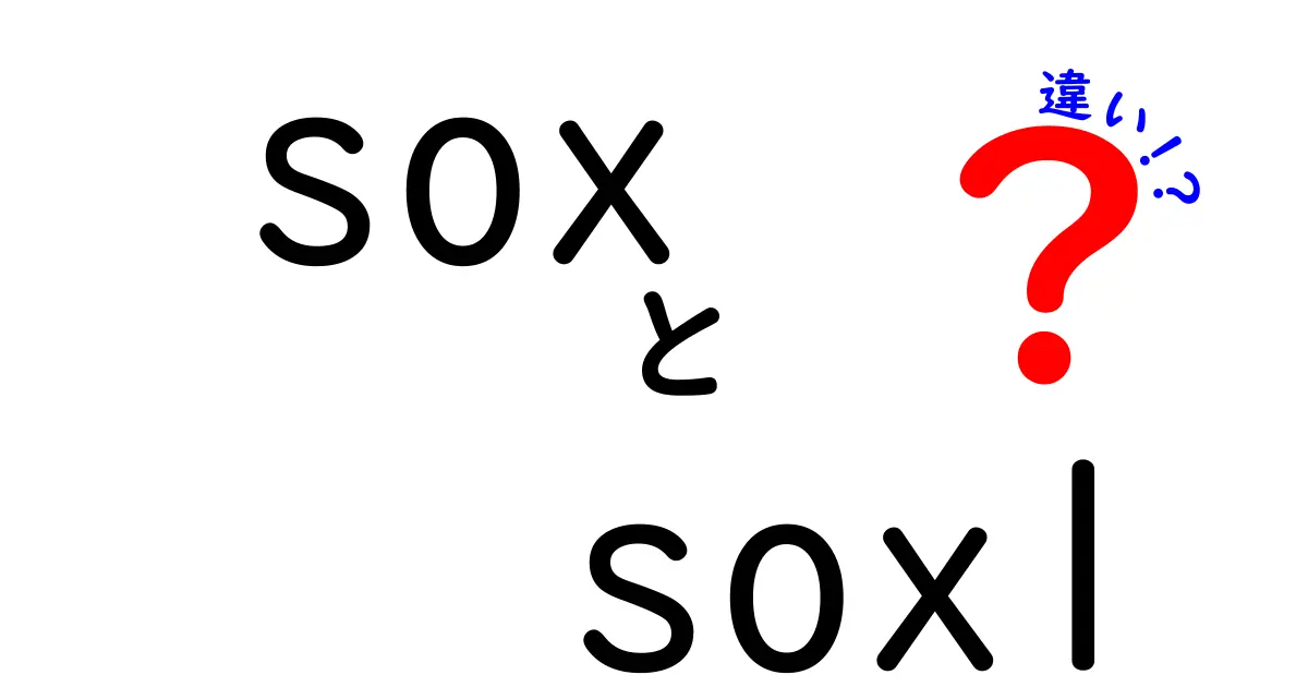 SOXとSOXLの違いをわかりやすく徹底解説！指数と3倍レバレッジETFのポイントを中学生にも解説