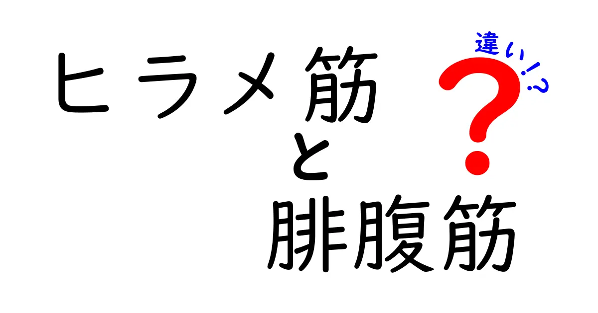 ヒラメ筋と腓腹筋の違いがわかる！歩き方から運動まで徹底解説