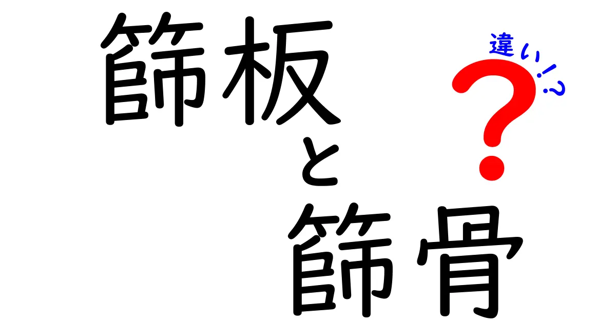 篩板と篩骨の違いを徹底解説！中学生にも分かるやさしい解説