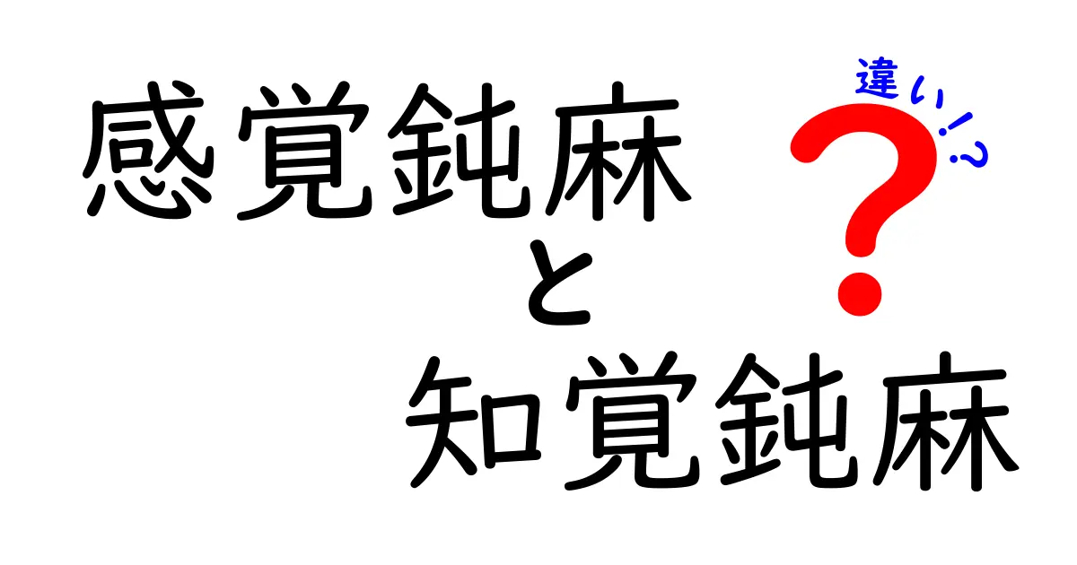 感覚鈍麻と知覚鈍麻の違いを徹底解説！中学生にも伝わるやさしい見分け方