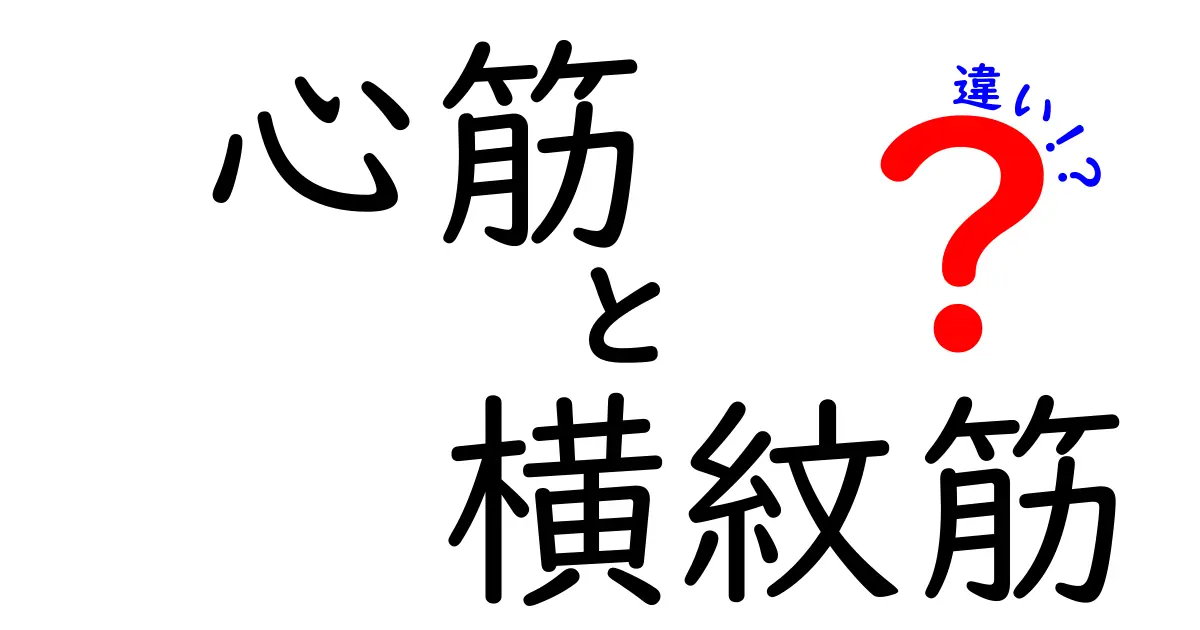 心筋と横紋筋の違いを徹底解説！中学生にも伝わる図解と会話でわかる体のしくみ