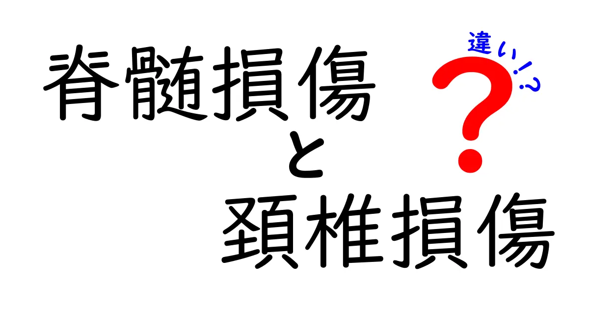 脊髄損傷と頚椎損傷の違いを徹底解説｜見分け方と日常生活への影響