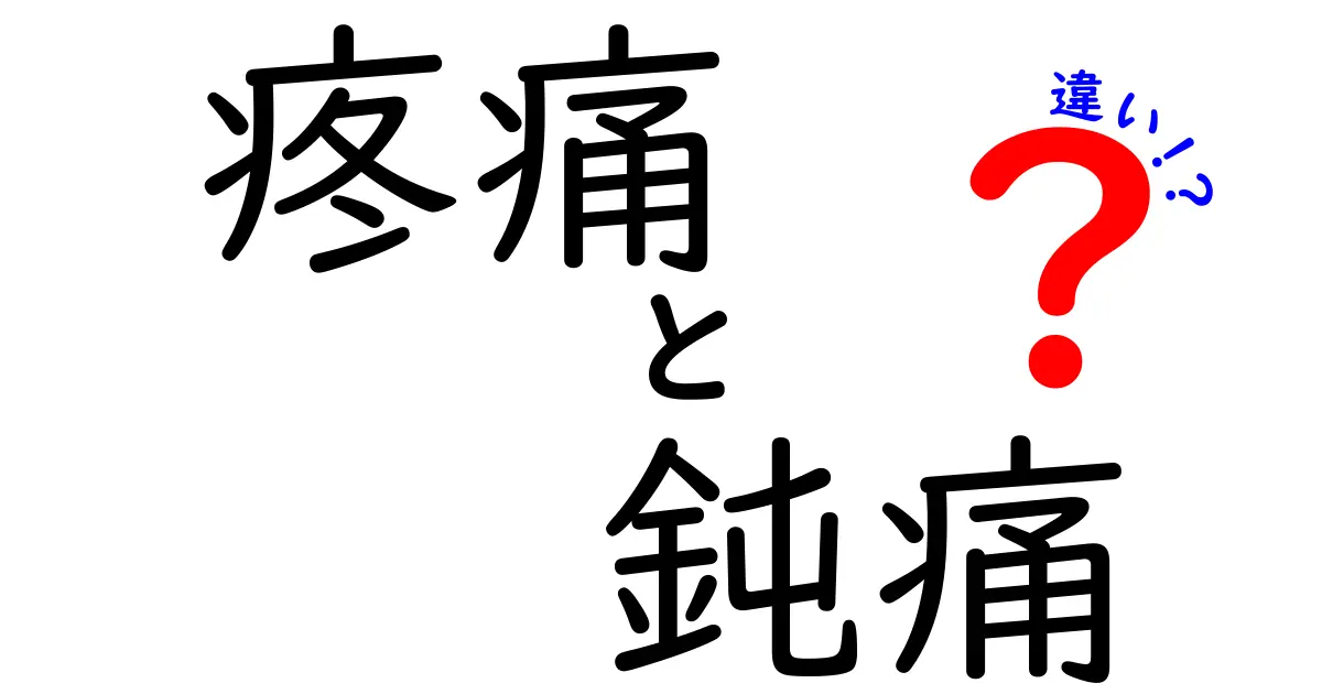 疼痛と鈍痛の違いを徹底解説：痛みの“鋭さ”と“重さ”を見分けるコツ