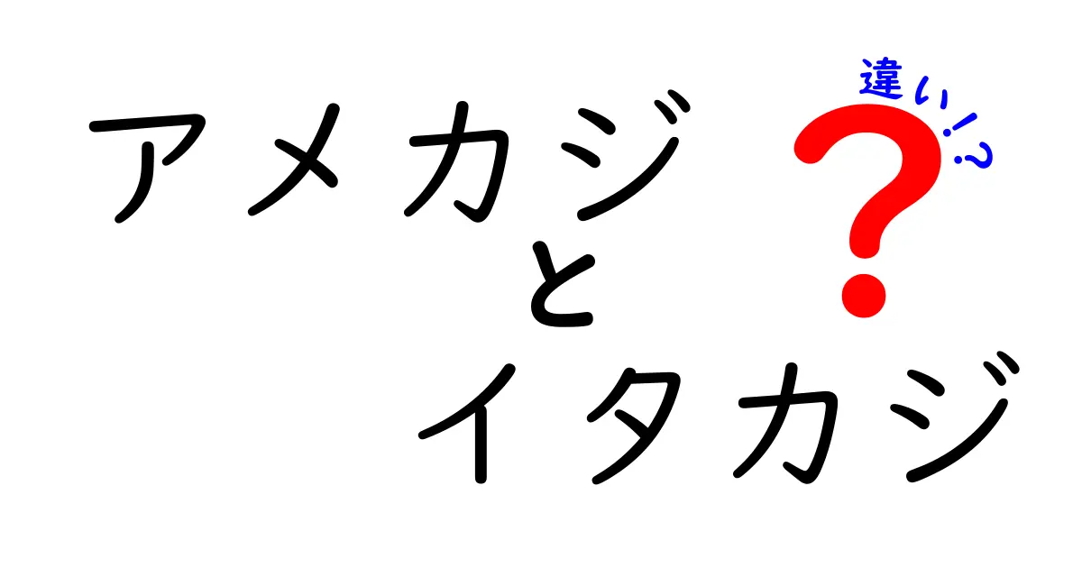 アメカジとイタカジの違いを徹底解説！着こなしの差が生む魅力を詳しく解説
