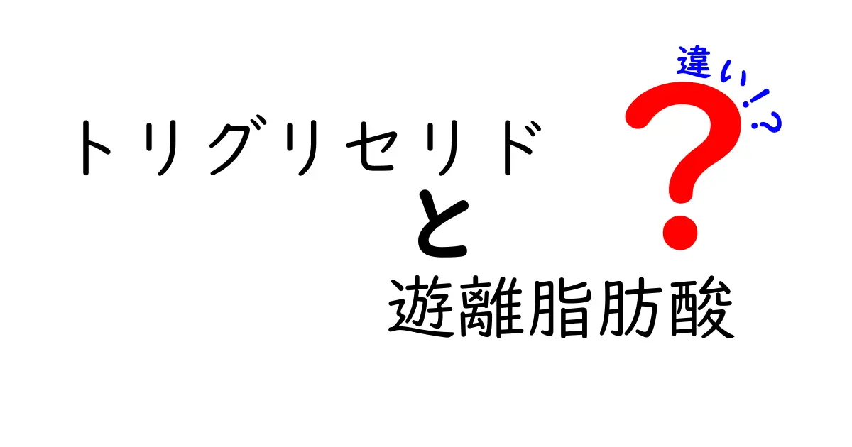 トリグリセリドと遊離脂肪酸の違いをわかりやすく解説—中学生にも伝わる基礎知識と日常での見分け方