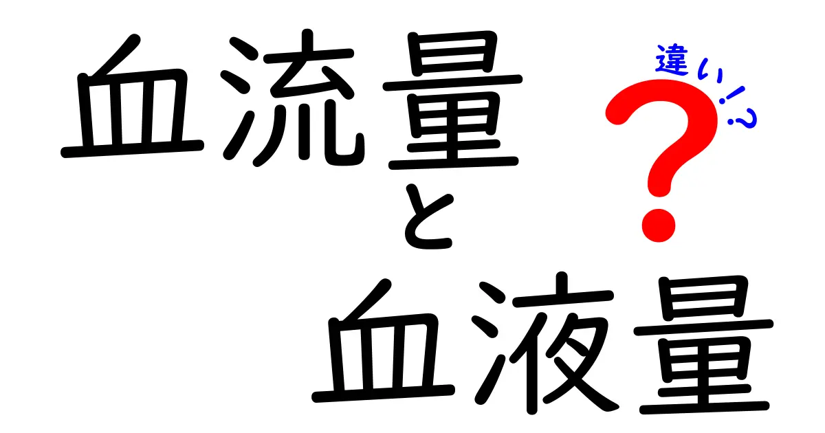 血流量と血液量の違いを徹底解説！中学生にもわかるポイントと見分け方