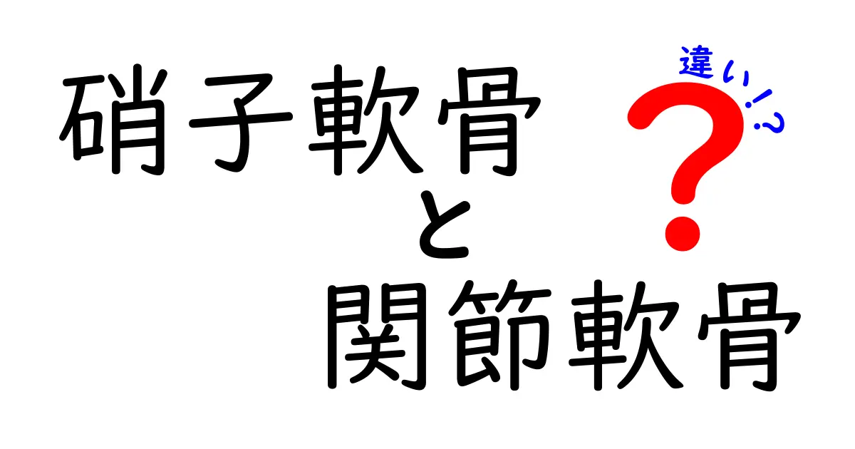 硝子軟骨と関節軟骨の違いを徹底解説｜中学生にも分かる図解つき