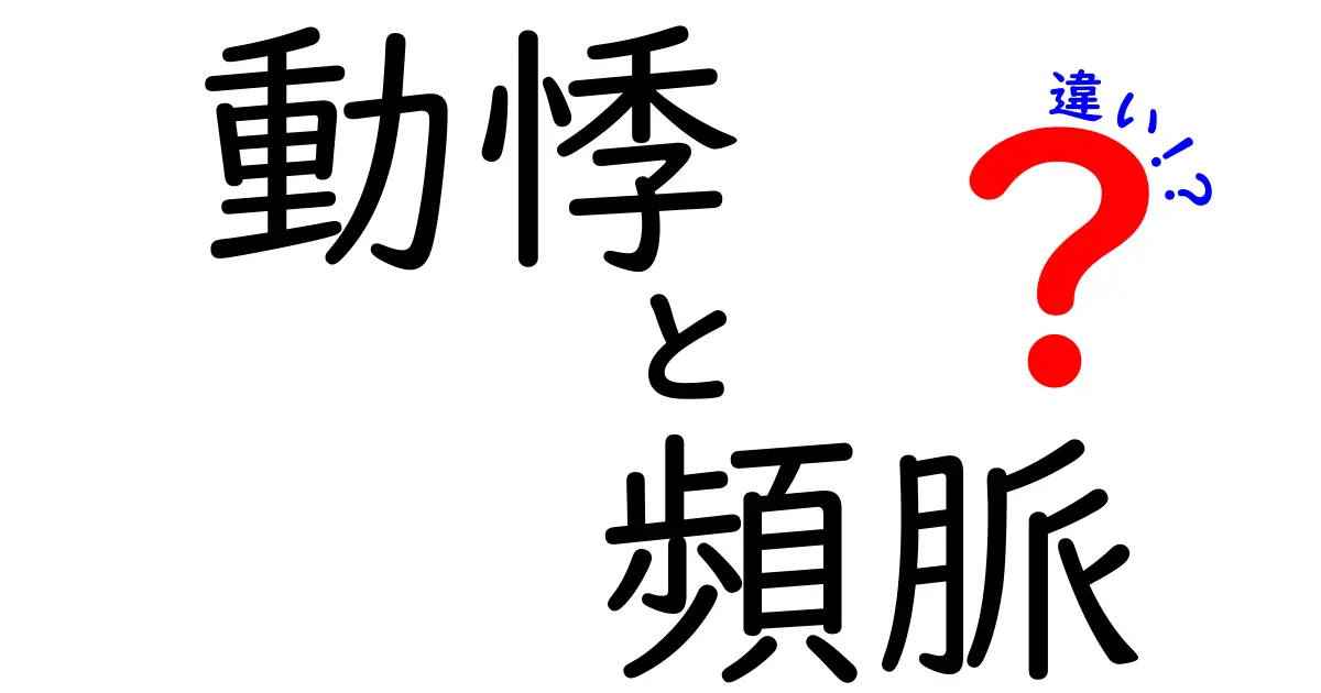 動悸と頻脈の違いをやさしく解説｜中学生にもわかる見分け方と対処法