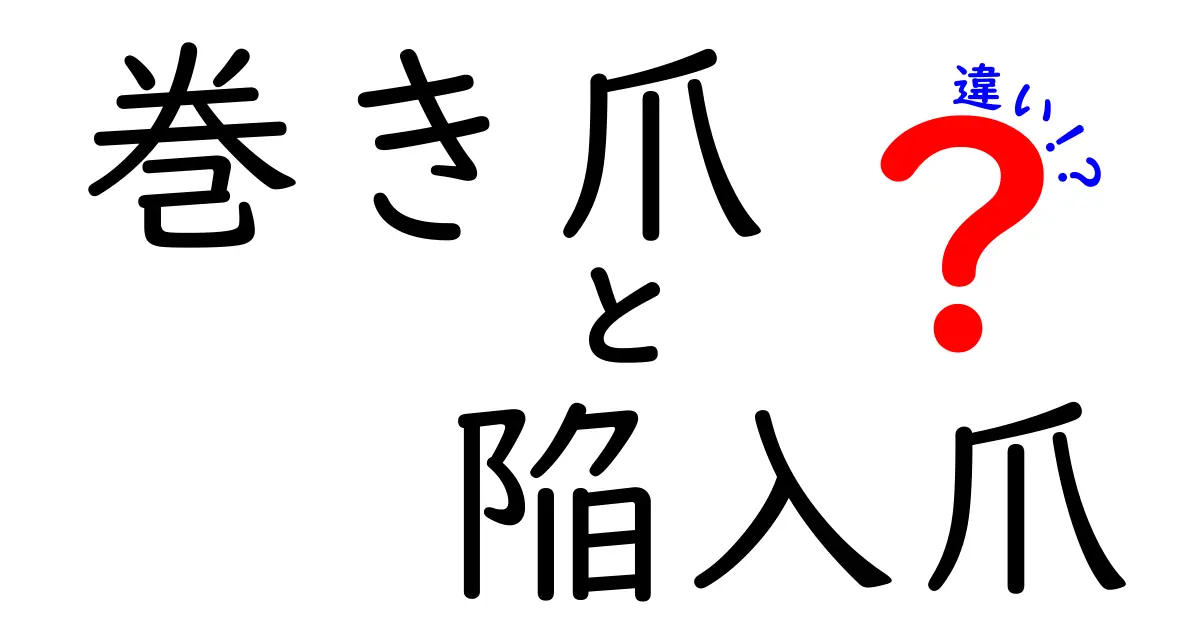 巻き爪と陥入爪の違いを完全解説：見分け方と対処法を中学生にもわかりやすく