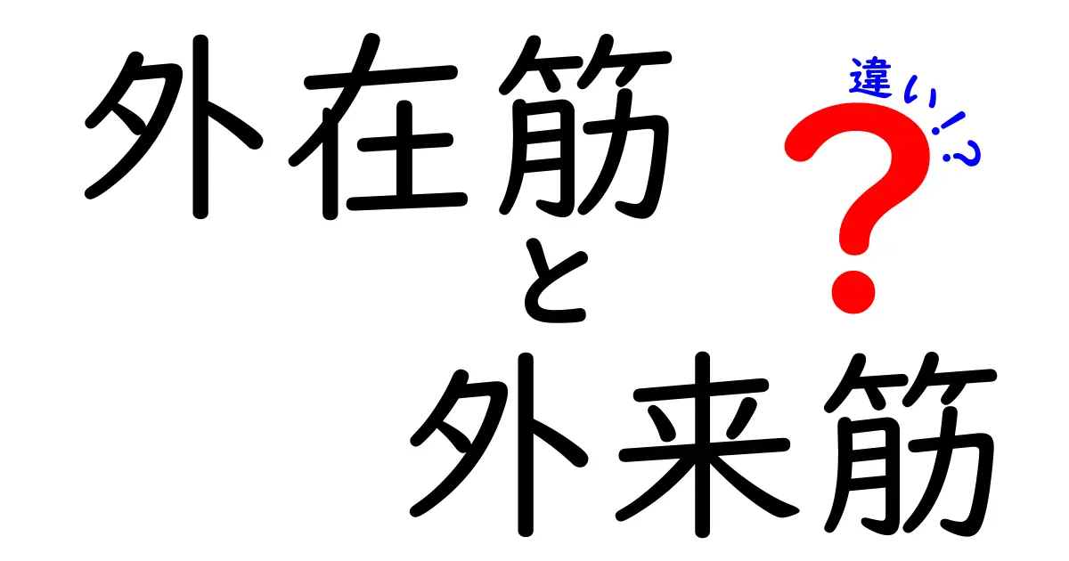 外在筋と外来筋の違いをわかりやすく解説！中学生にも伝わる図解つきガイド