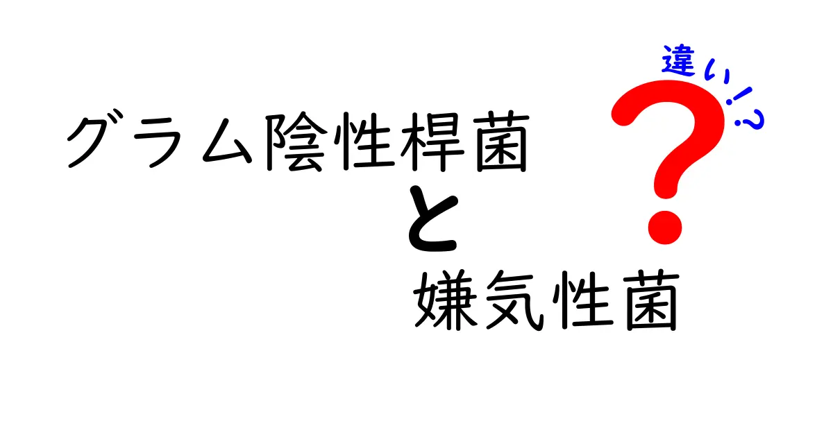 グラム陰性桿菌と嫌気性菌の違いを徹底解説！中学生にもわかるポイントと臨床での意味