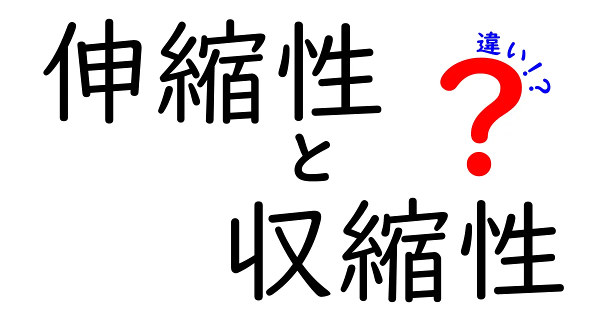 伸縮性と収縮性の違いを分かりやすく解説するタイトル—中学生にも伝わる素材の基本