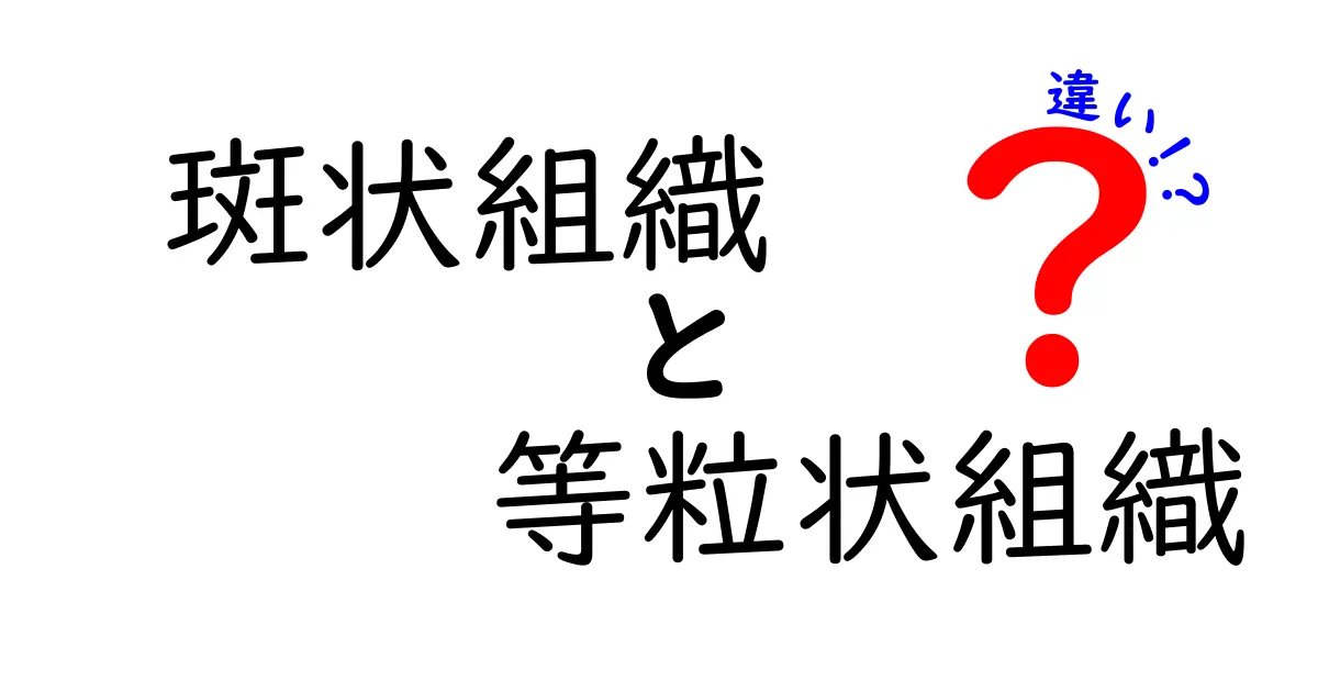 斑状組織と等粒状組織の違いを徹底解説！現場の観察と学校の授業で役立つ見分け方とは