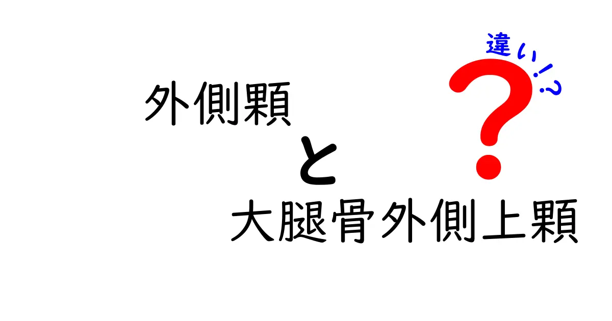 外側顆と大腿骨外側上顆の違いがすぐわかる図解と解説