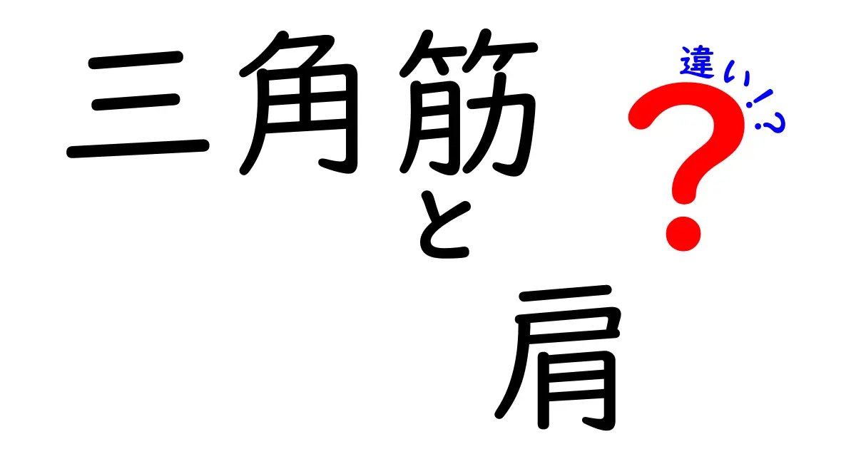 三角筋と肩の違いを徹底解説：筋トレと日常動作で役立つ正しい理解