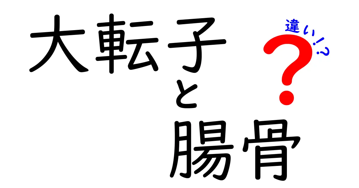 大転子と腸骨の違いを徹底解説 – 骨の名前の覚え方と見分けポイント