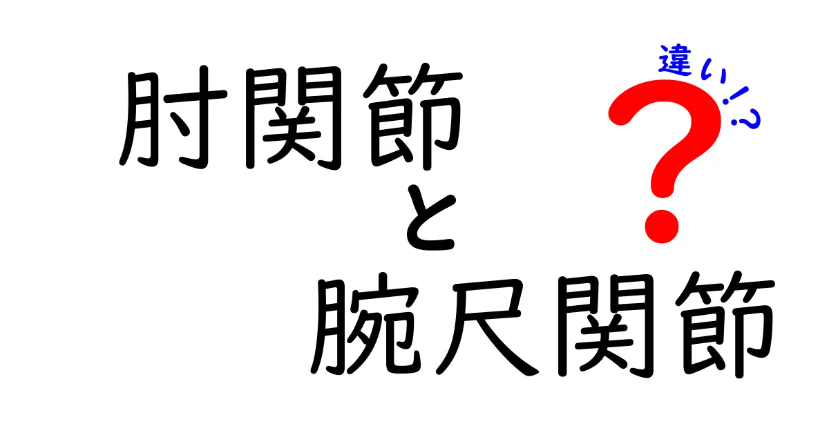 肘関節と腕尺関節の違いをわかりやすく解説！日常動作から学ぶ仕組みと見分け方