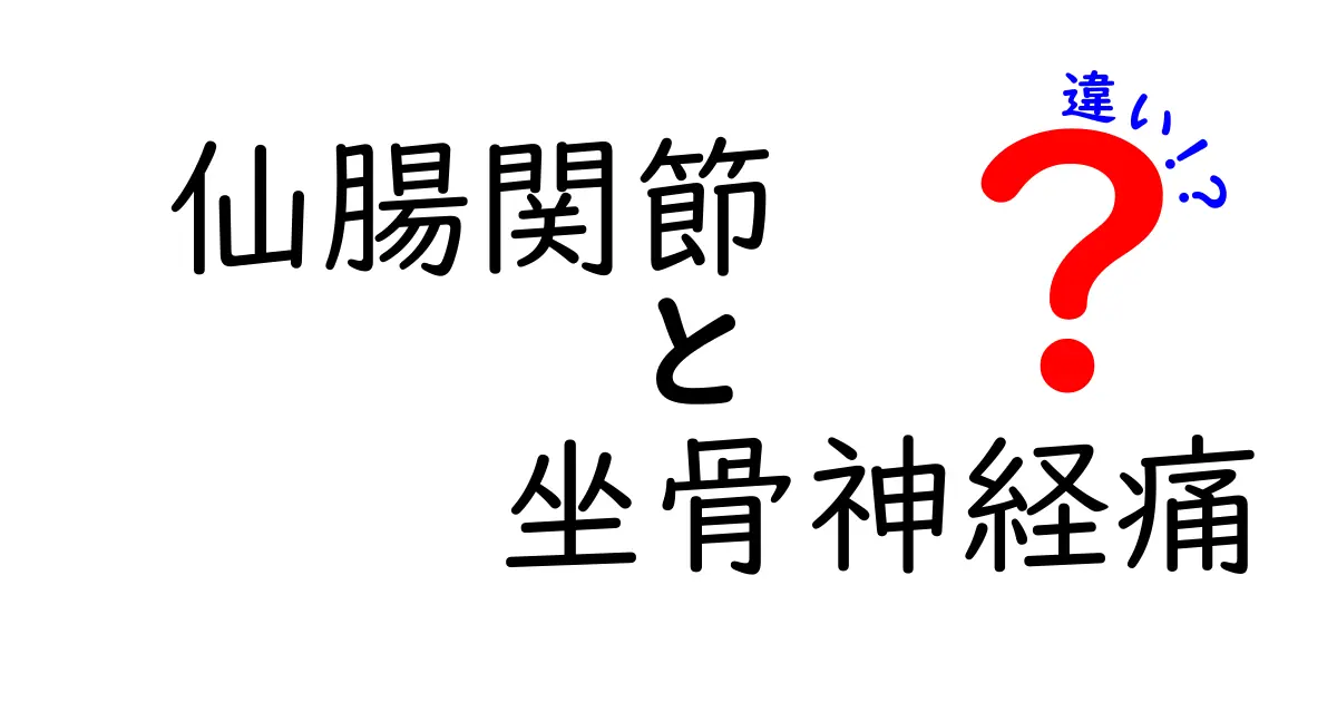 仙腸関節と坐骨神経痛の違いを徹底解説！痛みの原因を見分ける3つのポイントとセルフチェック